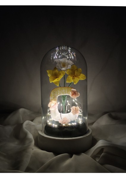 Dekoratif Ledli Ç Harfi, Ç Harfli Özel Çiğdem Çiçekli Teraryum Fanus, Hediyelik Fanus