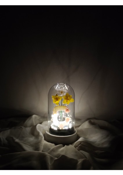 Dekoratif Ledli Ç Harfi, Ç Harfli Özel Çiğdem Çiçekli Teraryum Fanus, Hediyelik Fanus fiyatları