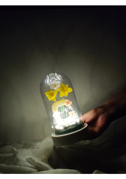 Dekoratif Ledli Ç Harfi, Ç Harfli Özel Çiğdem Çiçekli Teraryum Fanus, Hediyelik Fanus fırsatları