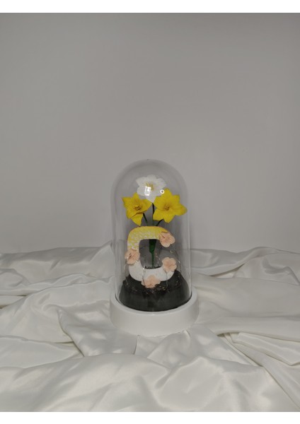 Dekoratif Ledli Ç Harfi, Ç Harfli Özel Çiğdem Çiçekli Teraryum Fanus, Hediyelik Fanus indirimleri