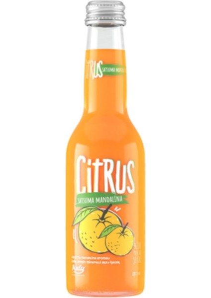 Citrus Satsuma Mandalina Aromalı Maden Suyu – 250 ml x 24’lü Paket, Serinletici ve Ferah
