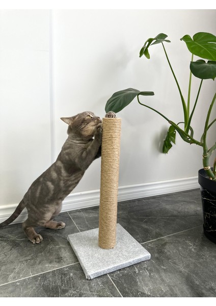 50 cm Tırmalama tahtası / Kedi/Köpek/OyunAlanı