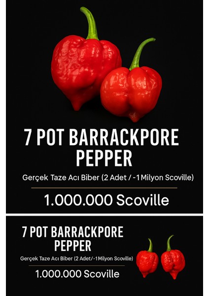 7 Pot Barrackpore Pepper 1 / 1 Milyon Scoville - Gerçek Taze Acı Biber modelleri