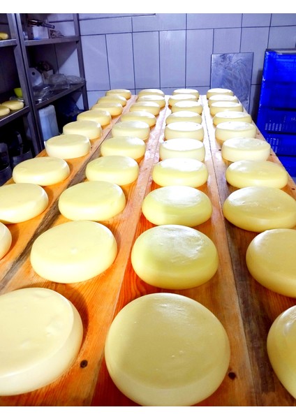 Tam Yağlı Göbek Kaşar fiyatları