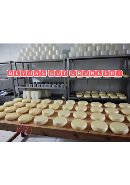 Tam Yağlı Göbek Kaşar modelleri