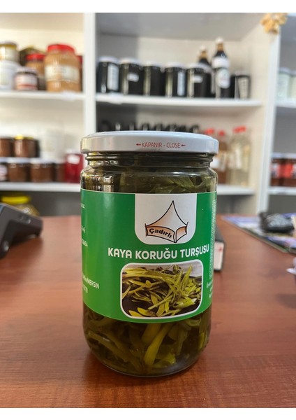 Kaya Koruğu Turşusu fiyatları