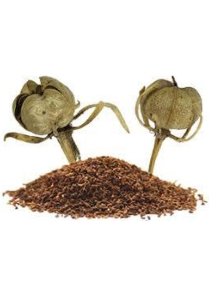 20 Adet Tohum Üzerlik Tütsü Egzotik Kokulu Nazar Otu Tütsü Nazara Karşı Şifalı Olduğu Bilinen Tütsü