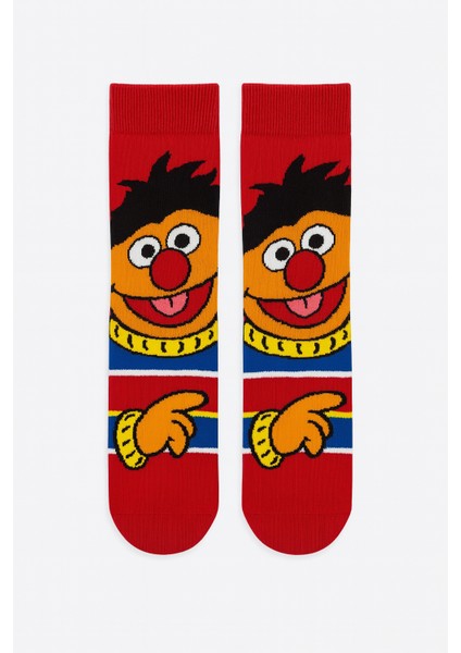 Susam Sokağı Renkli Çorap