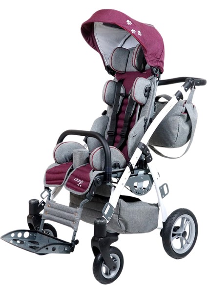 Grizzly Engelli Çocuk Puseti