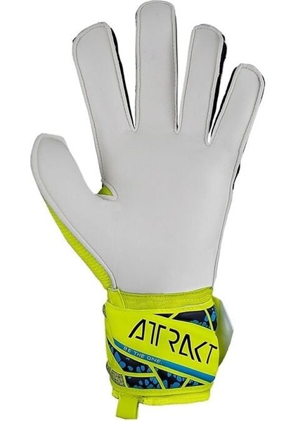 Attrakt Solid Kaleci Eldiveni (Kemiksiz) 5470515-2111 9 fırsatları