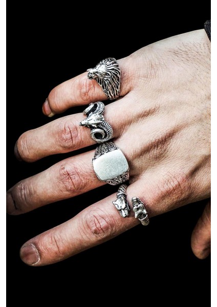 4 Adet 925 Ayar Gümüş Kaplama Ayarlanabilir Erkek Koç Aslan Köpek Yüzük Seti