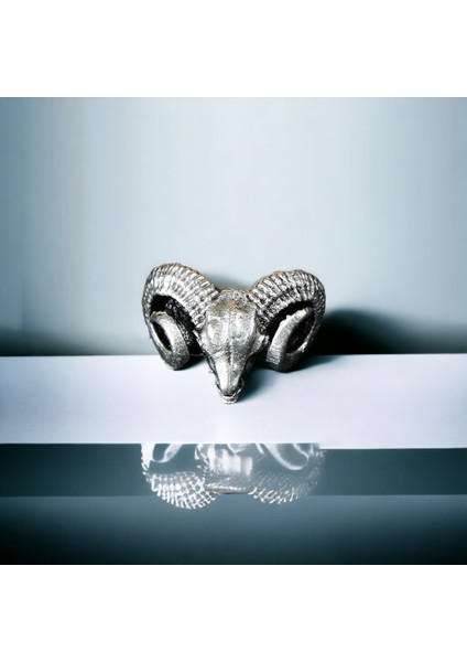 4 Adet 925 Ayar Gümüş Kaplama Ayarlanabilir Erkek Koç Aslan Köpek Yüzük Seti modelleri