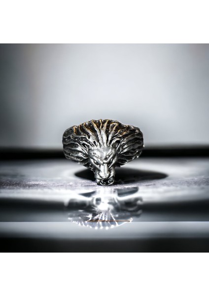 4 Adet 925 Ayar Gümüş Kaplama Ayarlanabilir Erkek Koç Aslan Köpek Yüzük Seti fırsatları