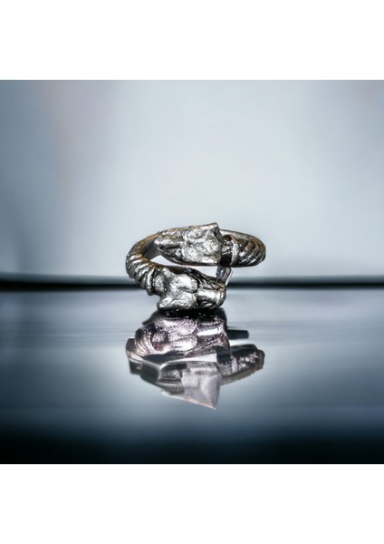 4 Adet 925 Ayar Gümüş Kaplama Ayarlanabilir Erkek Koç Aslan Köpek Yüzük Seti indirimleri