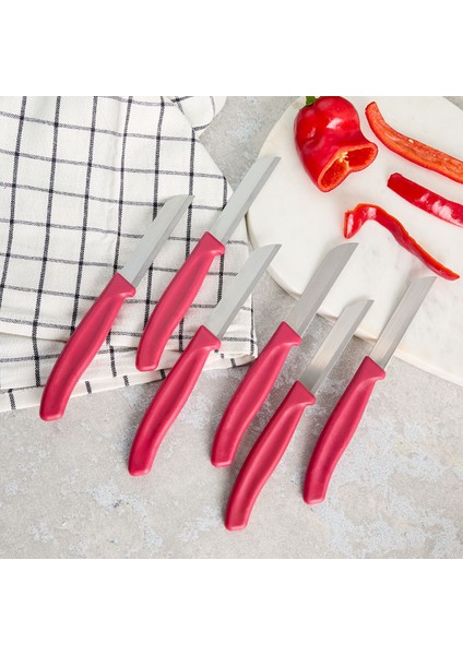 Mira 6 Parça Meyve Bıçak Seti Bordo fiyatları