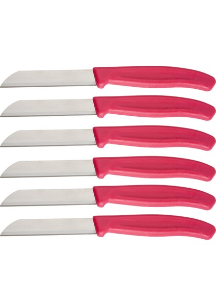 Mira 6 Parça Meyve Bıçak Seti Bordo fırsatları