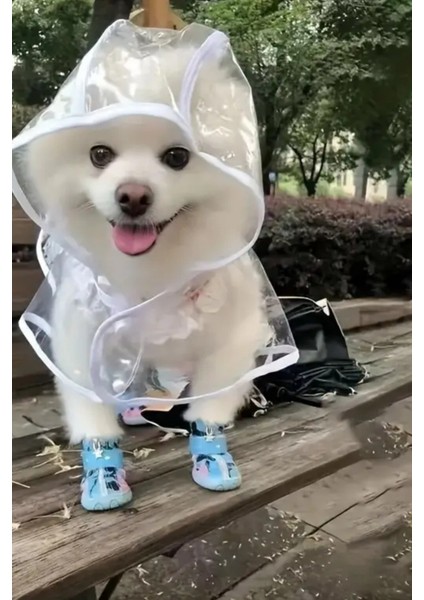 1 Adet-Pomeranian Şeffaf Köpek Yağmurluğu – Pvc, Su Geçirmez, Tüm Irklar Için Uygun