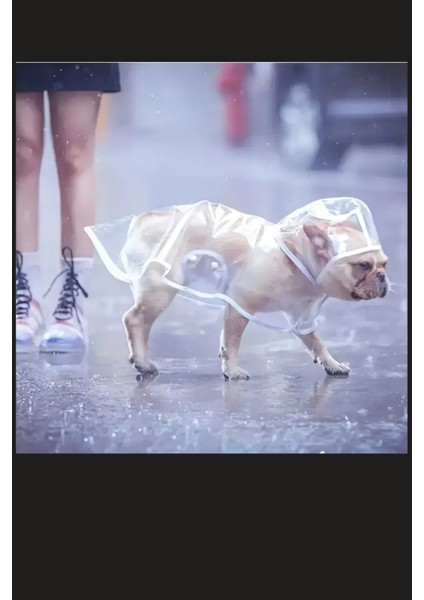 1 Adet-Pomeranian Şeffaf Köpek Yağmurluğu – Pvc, Su Geçirmez, Tüm Irklar Için Uygun fiyatları