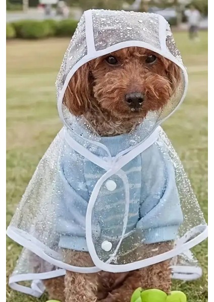 1 Adet-Pomeranian Şeffaf Köpek Yağmurluğu – Pvc, Su Geçirmez, Tüm Irklar Için Uygun modelleri