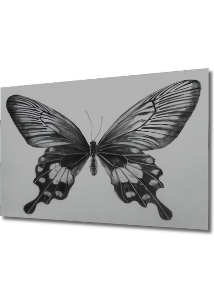 Kara Kalem Görünümlü Zarif Kelebek Ahşap Dekoratif Tablo Dikdörtgen Tablo modelleri