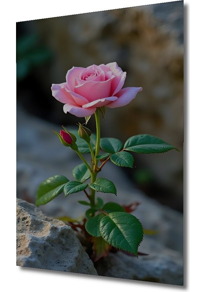 Pembe Gül Suluboya Görünümlü Ahşap Tablo Dikdörtgen Tablo modelleri