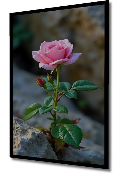 Pembe Gül Suluboya Görünümlü Ahşap Tablo Dikdörtgen Tablo indirimleri