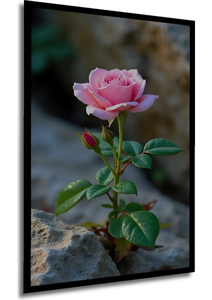 Pembe Gül Suluboya Görünümlü Ahşap Tablo Dikdörtgen Tablo