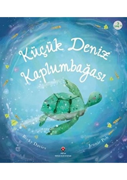 Küçük Deniz Kaplumbağası