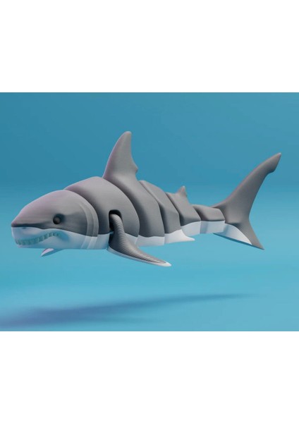 Köpekbalığı Anahtarlık-Hareketli-3d Baskı-3 Renkli