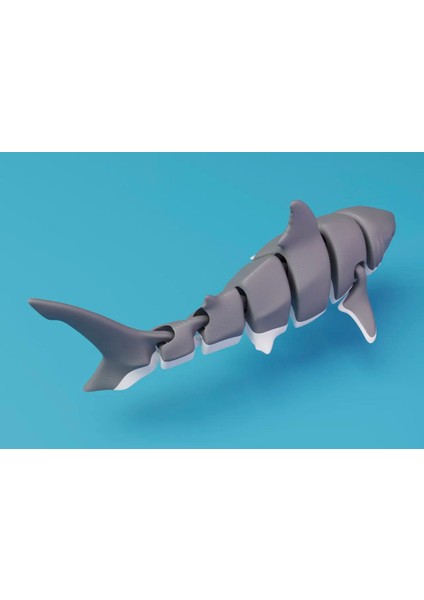 Köpekbalığı Anahtarlık-Hareketli-3d Baskı-3 Renkli modelleri