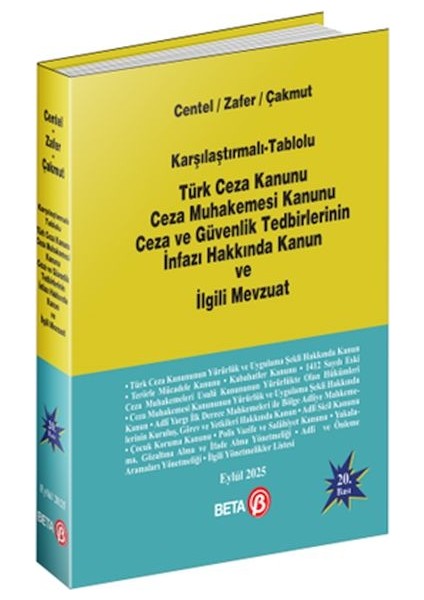 Türk Ceza Kanunu Ceza Muhakemesi Kanunu Ceza ve Güvenlik Tedbirlerinin Infazı Hakkında Kanun ve Ilgi