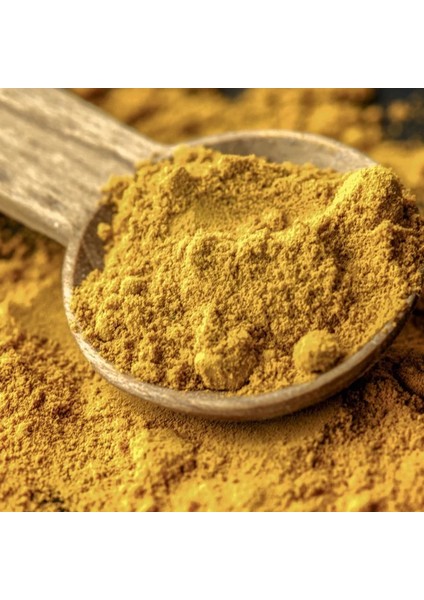 Kimyon Fatma Hanım Bahartları