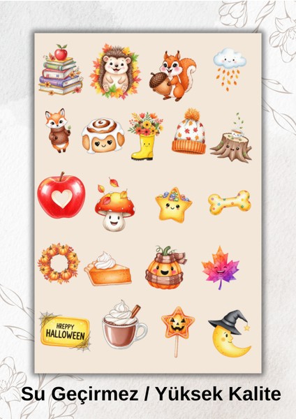 Cadılar Bayramı Turuncu Balkabağı Elma Temalı, Sticker Ajanda Bullet Journal YRM021