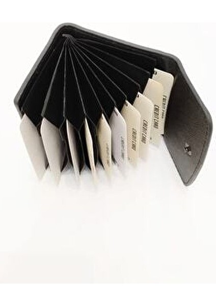 Akordeon Model Siyah 10 Bölmeli Kredi Kartlık