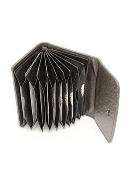 Akordeon Model Siyah 10 Bölmeli Kredi Kartlık fırsatları