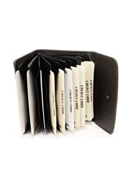 Akordeon Model Siyah 10 Bölmeli Kredi Kartlık indirimleri