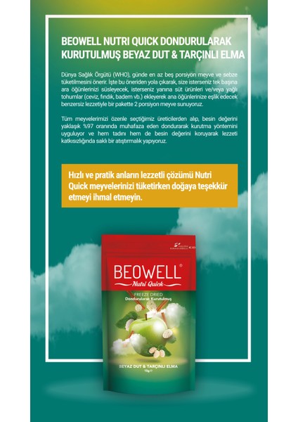 Nutri Quick – Freeze Dried Dondurularak Kurutulmuş Beyaz Dut & Tarçınlı Elma