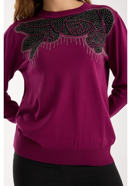 Kadın Mürdüm Elit Viskon Kumaş Taş Detaylı Bisiklet Yaka Triko Bluz fırsatları