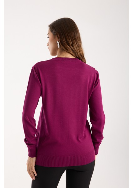 Kadın Mürdüm Elit Viskon Kumaş Taş Detaylı Bisiklet Yaka Triko Bluz indirimleri