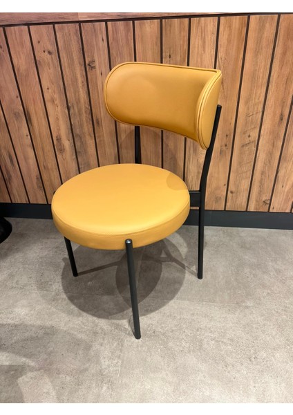 Metal Mutfak Sandalyesi - Dayanıklı Sağlam Kullanışlı Silinebilir Metal Sandalye Restoran Sandalye - Cafe Sandalyesi -Yemek Sandalyesi modelleri