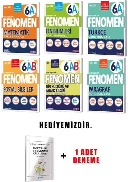 Fenomen Yayınlıcılık 6.sınıf A Grubu 6'li Set (Güncel) fiyatları