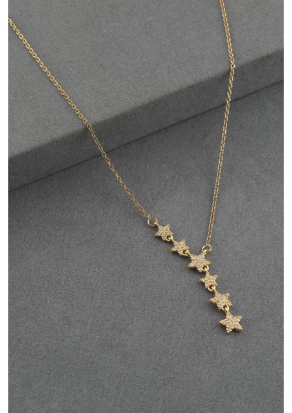 Çelik Kolye Gold 45CM