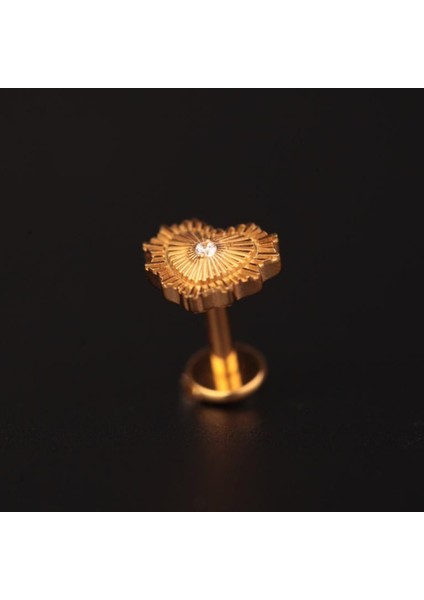 Yüksek Kalite G23 Titanium Kalp Zirkon Altın Titanyum 6x1.2mm Labret Piercing