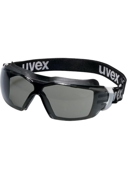 9309286 Pheos Cx2 Tam Kaplı Iş Gözlüğü