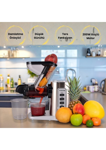 Slow Juicer JS3108 Katı Sebze ve Meyve Sıkacağı
