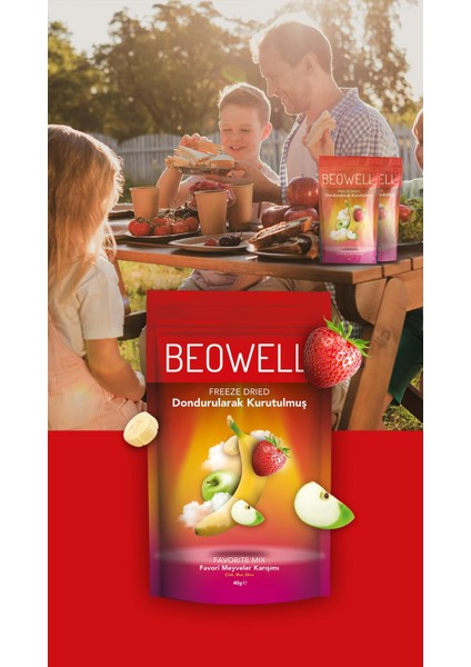 Favorite Mix – Dondurularak Kurutulmuş Meyve Karışımı 40G %100 Freeze Dried modelleri