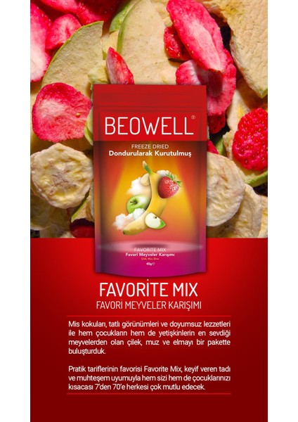 Favorite Mix – Dondurularak Kurutulmuş Meyve Karışımı 40G %100 Freeze Dried indirimleri
