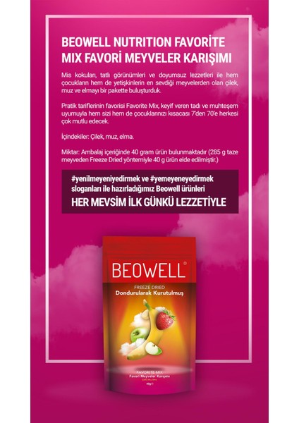 Favorite Mix – Dondurularak Kurutulmuş Meyve Karışımı 40G %100 Freeze Dried