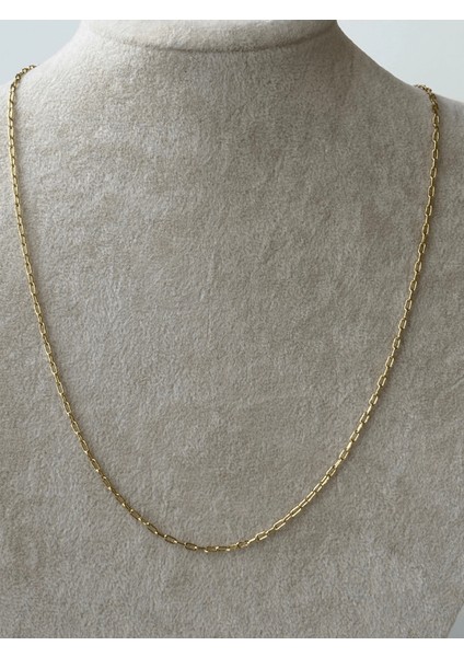 14 K Renginde Minimal Ataç Şekilli Gold Kolye