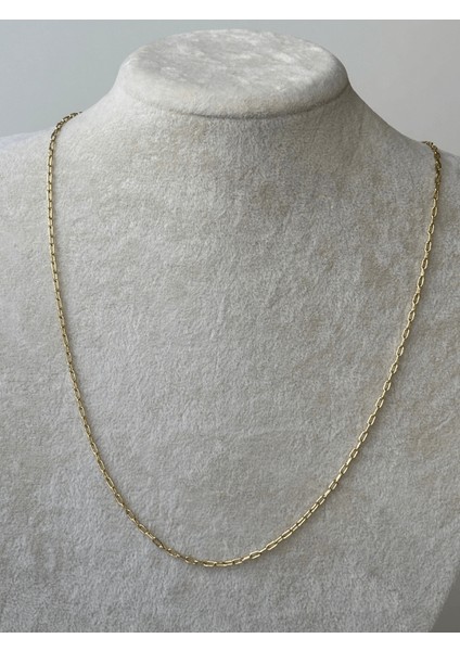 14 K Renginde Minimal Ataç Şekilli Gold Kolye modelleri